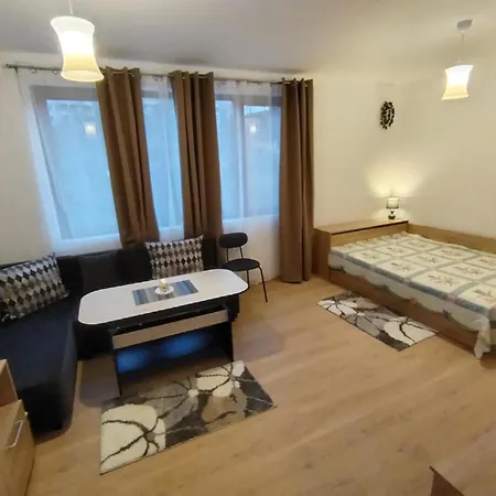 студио за гости -синхрон- Daire *