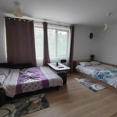 студио за гости -синхрон- *