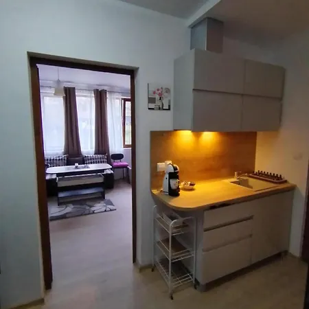 студио за гости -синхрон- *