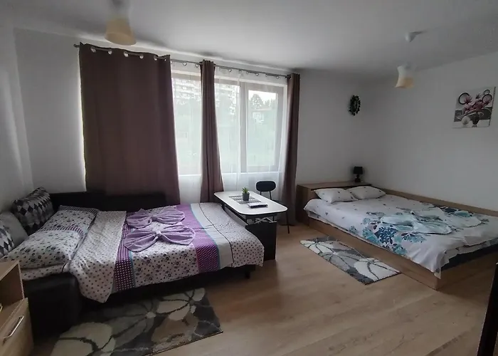 студио за гости -синхрон- *